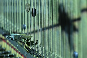 Picture of Kathy Hinde's Piano Migrations