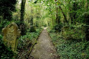 Abney Park cemetery and nature reserve