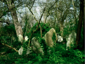 Abney Park cemetery and nature reserve