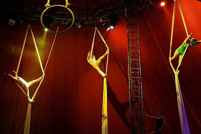 Picture of circus acrobats