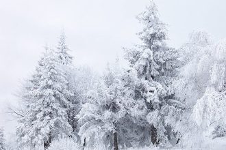 Picture of snow scene